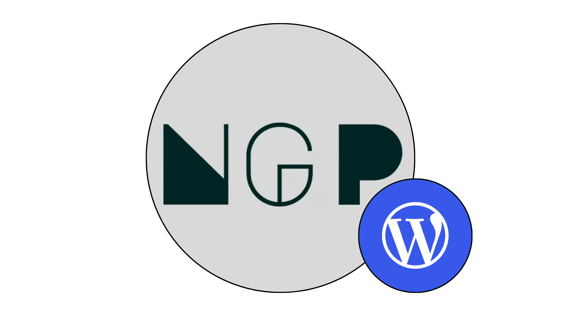 Next Generation Pakistan — WordPress Website